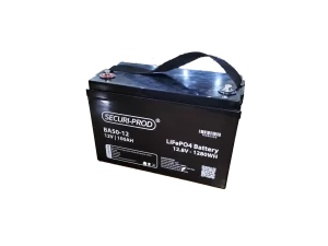 Regal 12v 100AH Lithium Battery