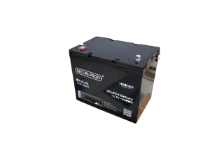 Regal 12v 50ah Lithium Battery